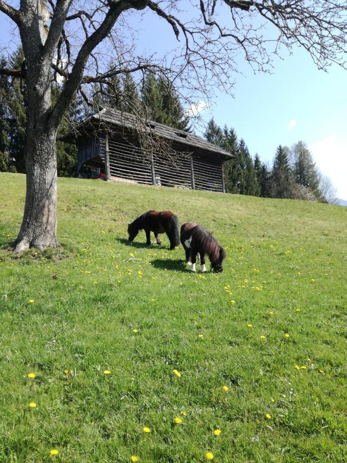 Haus Oswald Am See Hermagor-Pressegger See Kültér fotó