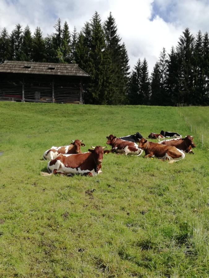 Haus Oswald Am See Hermagor-Pressegger See Kültér fotó